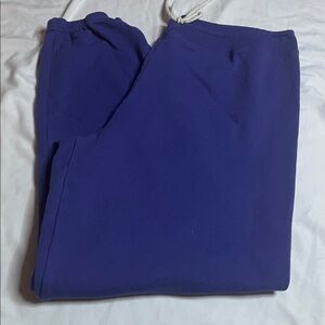 Marine Layer Jogging Pants